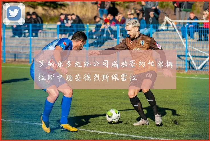 罗纳尔多经纪公司成功签约帕尔梅拉斯中场安德烈斯佩雷拉