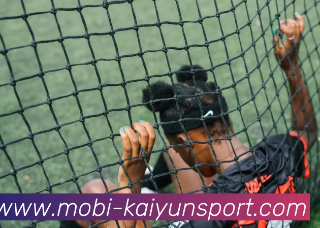 开云体育APP 封面图