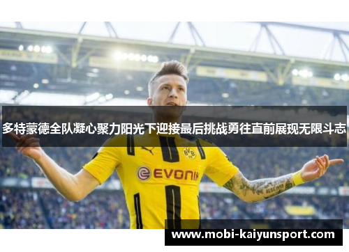 多特蒙德全队凝心聚力阳光下迎接最后挑战勇往直前展现无限斗志