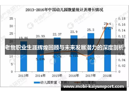 老詹职业生涯辉煌回顾与未来发展潜力的深度剖析