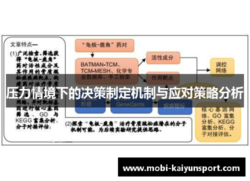 压力情境下的决策制定机制与应对策略分析