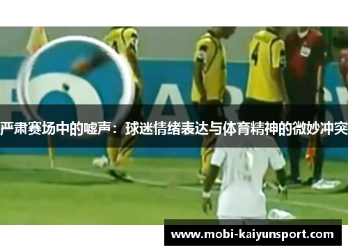 严肃赛场中的嘘声：球迷情绪表达与体育精神的微妙冲突