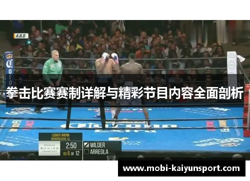 拳击比赛赛制详解与精彩节目内容全面剖析