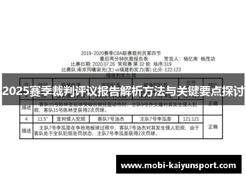 2025赛季裁判评议报告解析方法与关键要点探讨