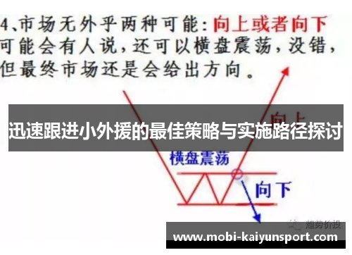 迅速跟进小外援的最佳策略与实施路径探讨